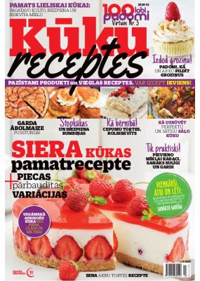 E- 100 labi padomi Speciālizdevums Nr. 8, 2020