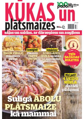 E- 100 labi padomi Speciālizdevums Nr. 4, 2024