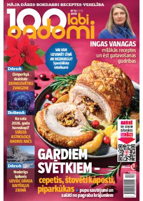 E- 100 Labi padomi Nr. 12, 2025