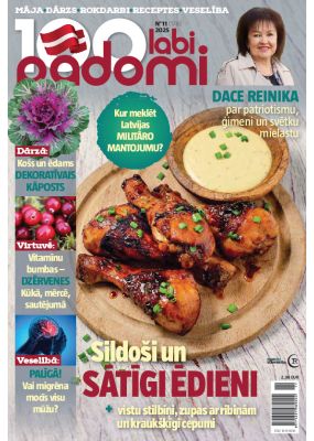 E- 100 Labi padomi Nr. 11, 2025