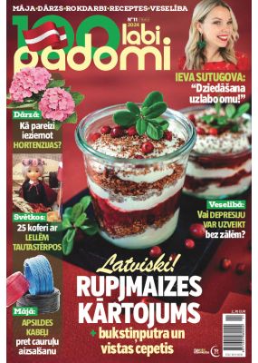 E- 100 Labi padomi Nr. 11, 2024