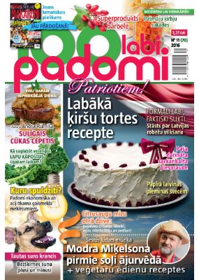 E- 100 Labi padomi Nr.11.2016