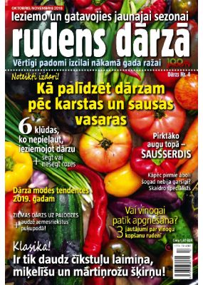 E- 100 labi padomi Speciālizdevums Nr. 10, 2018