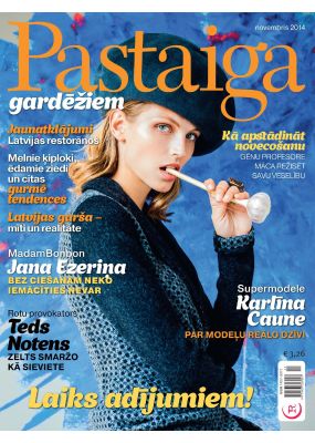 E- Pastaiga Nr. 11, 2014