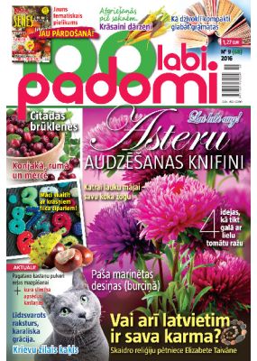 E- 100 Labi padomi Nr.09.2016