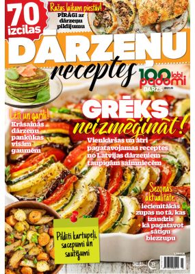 E- 100 labi padomi Speciālizdevums Nr. 8, 2021