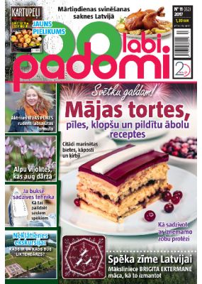 E- 100 Labi padomi Nr.11.2017