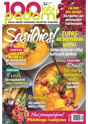 E- 100 Labi padomi Nr. 9, 2021