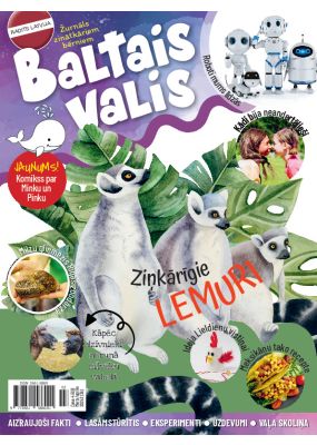 E- Baltais valis Nr. 2, 2025