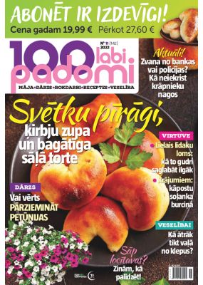 E- 100 Labi padomi Nr. 11, 2022