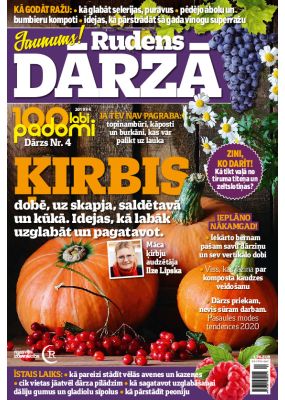 E- 100 labi padomi Speciālizdevums Nr. 9, 2019