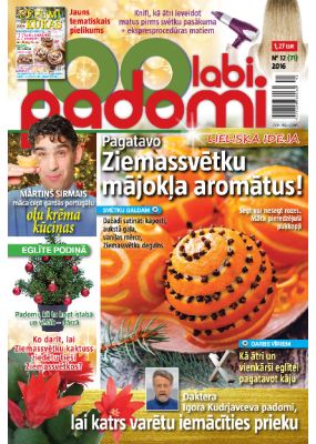 E- 100 Labi padomi Nr.12.2016
