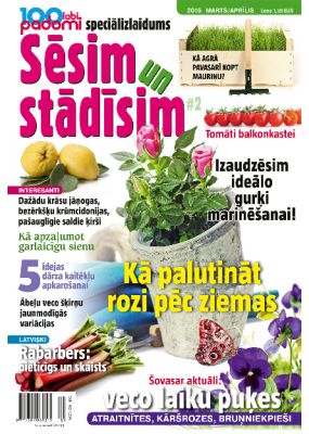 E- 100 labi padomi Speciālizdevums Nr.01.2015