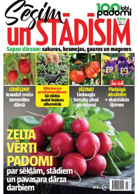 E- 100 labi padomi Speciālizdevums Nr. 1, 2025