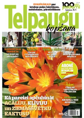 E- 100 labi padomi Speciālizdevums Nr. 11, 2023