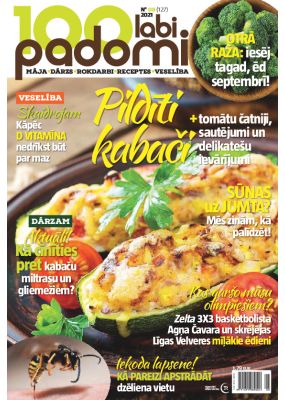 E- 100 Labi padomi Nr. 8, 2021