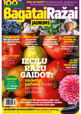 E- 100 labi padomi Speciālizdevums Nr. 7, 2020