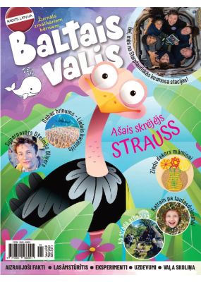 E- Baltais valis Nr. 3, 2025