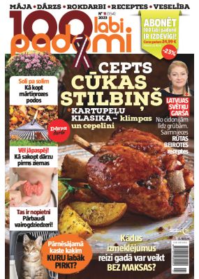 E- 100 Labi padomi Nr. 11, 2023