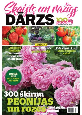 E- 100 labi padomi Speciālizdevums Nr. 2, 2025