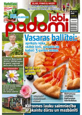 E- 100 Labi padomi Nr. 7, 2018