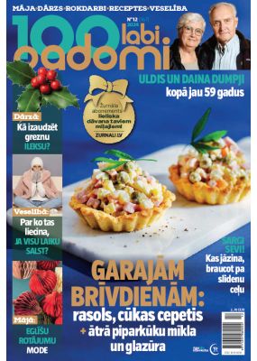 E- 100 Labi padomi Nr. 12, 2024