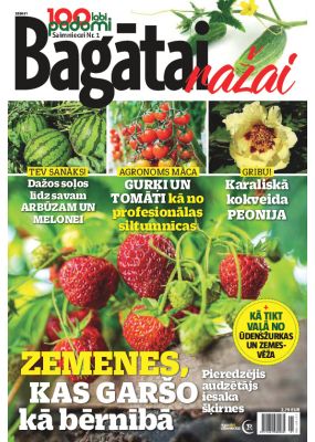 E- 100 labi padomi Speciālizdevums Nr. 2, 2024