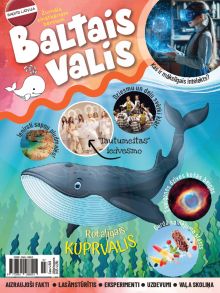 E- Baltais valis Nr. 4, 2025