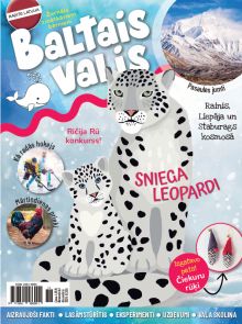 E- Baltais valis Nr. 6, 2025