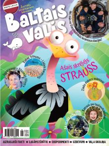 E- Baltais valis Nr. 3, 2025