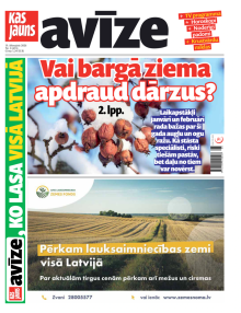 E- Kas Jauns Avīze Nr. 8, 2026