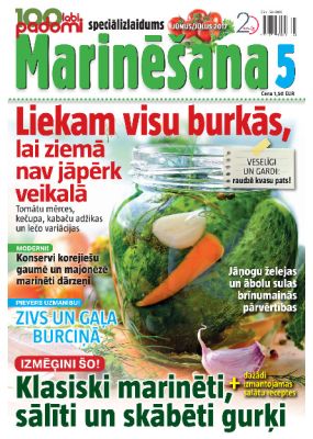 E- 100 labi padomi Speciālizdevums Nr.02.2017.Marinesana5