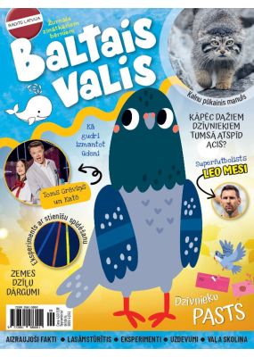 E- Baltais valis Nr.5, 2026